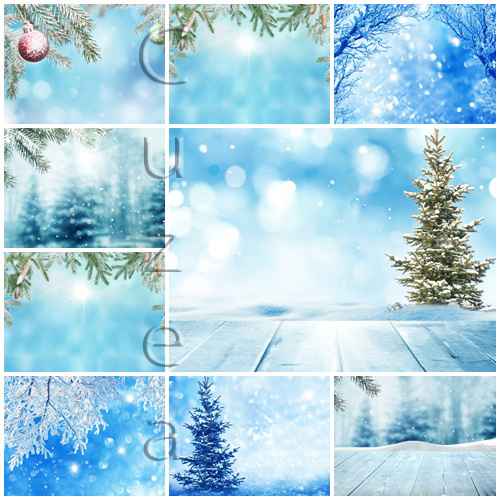 Shining winter backgrounds - stock photo