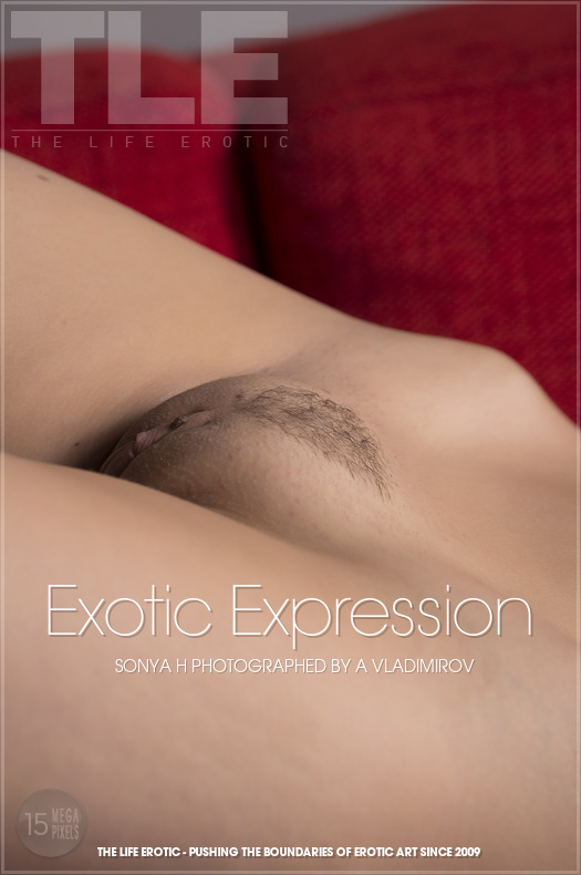 [TheLifeErotic] 2014-01-08 Sonya H - Exotic expression [115  / Hi-Res]