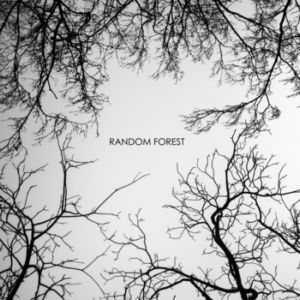 Random Forest - Random Forest (EP) (2014)