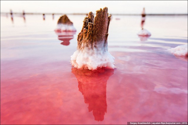 Фантастические скульптуры соляного озера 