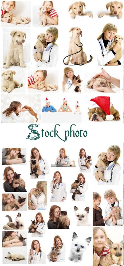 People with dogs and cats - stock photo