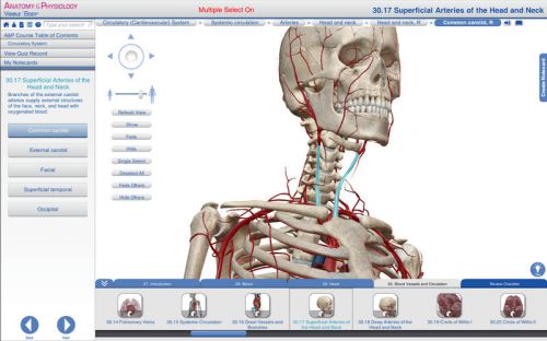 Visible Body Anatomy and Physiology v1.2.8 (Mac OSX)