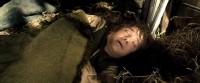 :   / The Hobbit: The Desolation of Smaug (2013) DVDScr/HDScr 720p