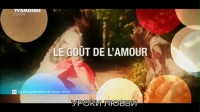   / Le gout de l'amour (2013) DVB 