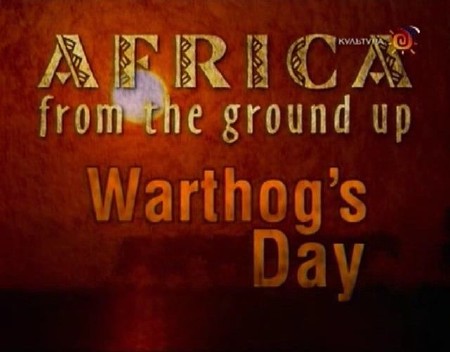    -     (13 ) / Africa from the ground up (2000) DVB