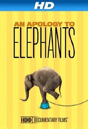    / An Apology to Elephants (2013) WEB-DL 720p