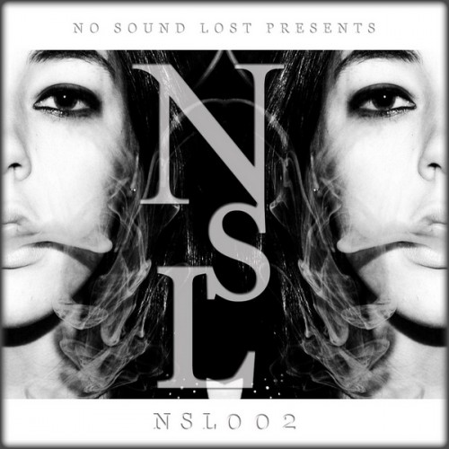 VA - No Sound Lost: NSL002 (2013) FLAC