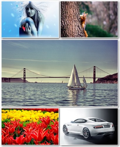 Best HD Wallpapers Pack №1212
