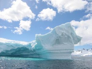Пингвинам Антарктиды угрожают айсберги
