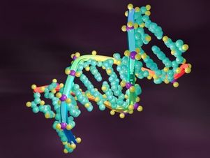 Ученые выявили гены, вызывающие предрасположенность к менингиту
