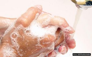Антибактериальное мыло влияет на работу иммунитета