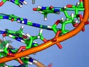 Ученые предлагают использовать ДНК в качестве нанопроводов