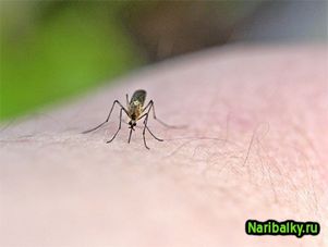 Памятка-инструкция: Как защититься от комаров?