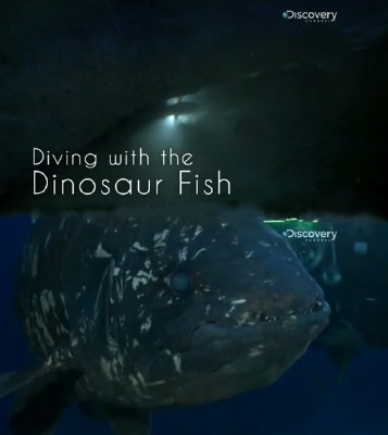 ���������� � ���������� / Diving with the Dinosaur Fish (2013) SATRip