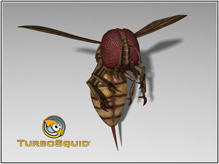 TurboSquid Monstrous Blood Wasp - repost