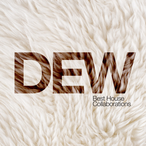 VA - Dew - Best House Collaborations (2014)