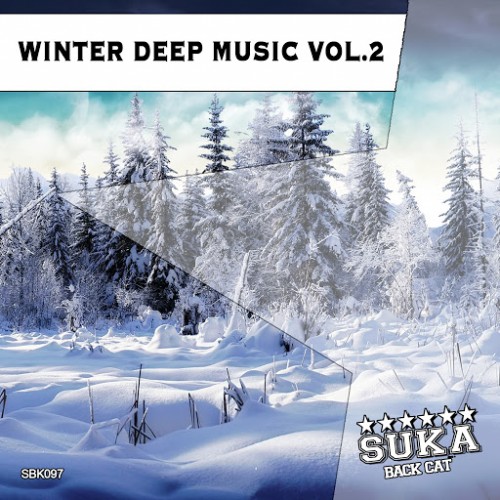 VA - Winter Deep Music, Vol. 2 (2015)