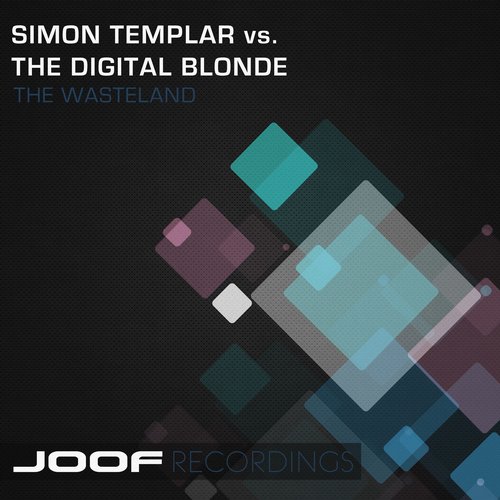 The Digital Blonde Vs Simon Templar - The Wasteland (2015)