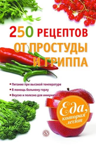 Виктор Ильин - 250 рецептов от простуды и гриппа (2013) rtf