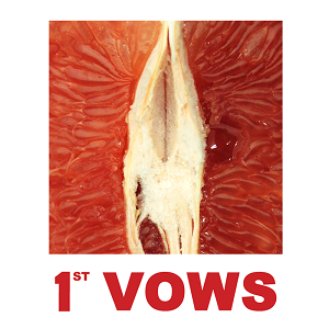 1st Vows - 1st Vows (The Red) [EP] (2015)