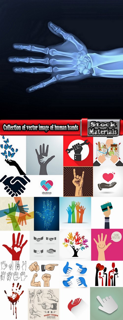 Collection of vector image of human hands various hand gestures 25 Eps