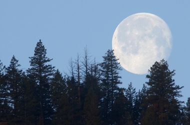 Ученые: Луна могла возникнуть из-за столкновения Земли с другой планетой