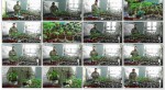 Подготавливаем семена и сеем капусту (2015) WebRip