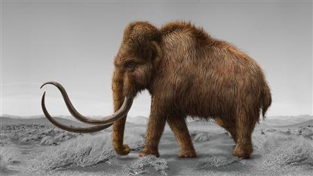 [Tutorials] Digital-Tutors - Resurrecting Extinct Creatures in Photoshop