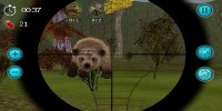 Classic Sniper Hunt Simulator v1.1 