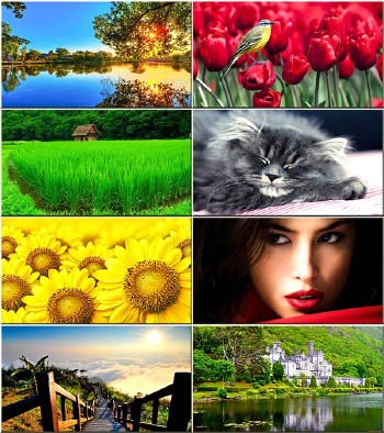 Best Wallpapers Mixed Pack #275