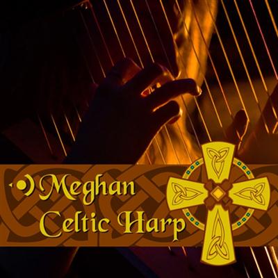 Precisionsound Meghan Celtic Harp MULTiFORMAT-AUDIOSTRiKE 180114