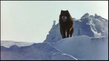 VANGELIS - Antarctica (kOREYOSHI kURAHARA'S Film) 1983, Vinyl-rip, CD-rip, Film