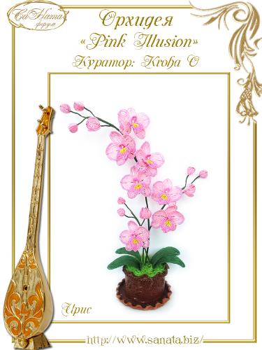 Выпуск работ Факультета: Орхидея "Pink Illusion" B6f824f1f45a7baae5ffbb94aa23975d