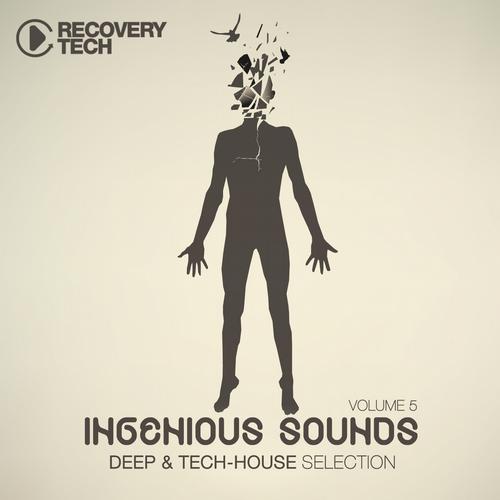 Ingenious Sounds Vol 5 (2013)