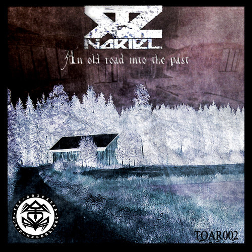 Nariel - An Old Road into the Past (2013)