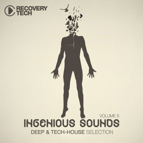 VA - Ingenious Sounds Vol. 5 (2013) FLAC