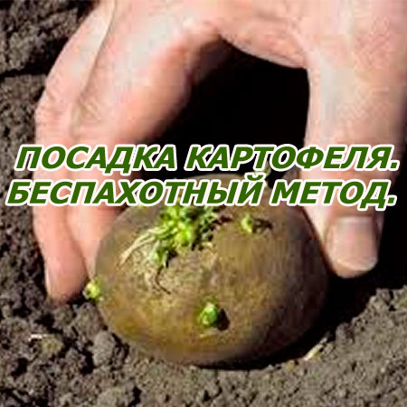 Посадка картофеля. Беcпахотный метод (2015) WebRip
